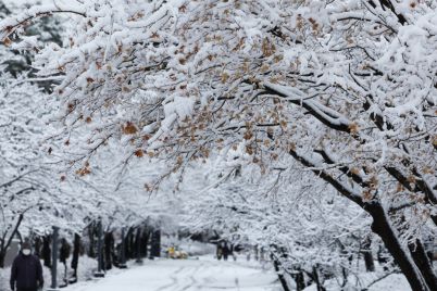 Snow-in-Seoul.jpg