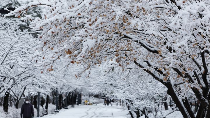 Snow-in-Seoul.jpg
