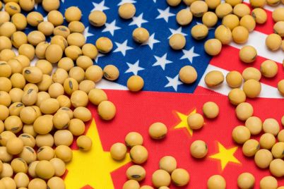 Soy-Bean.jpg