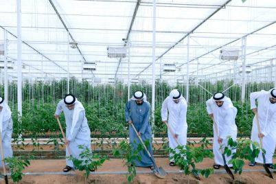UAE-Farm.jpg